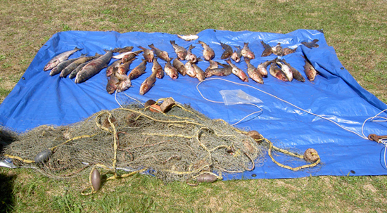 Items siezed by officers