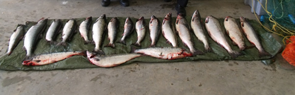 Items seized on July 9, 2012.